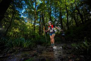 BIB: 
                            <button type="button" onclick="openModal(19239629)" class="btn btn-primary btn-sm float-right btn-popup" data-toggle="modal" data-target=".modal-high-quality">
                        <i class="fas fa-shopping-cart"></i> Add to Cart
                    </button>
                                            <button type="button" onclick="isThisMe(19239629, true)" class="btn btn-success btn-sm float-right btn-popup btn-isme hidden" data-toggle="tooltip" data-placement="bottom" title="นี่คือรูปของคุณใช่ไหม คลิกที่นี่เพื่อเอาเข้าอัลบั้ม">
                        <i class="fas fa-plus"></i> Add to album
                    </button>
                    <button type="button" onclick="isThisMe(19239629, false)" class="btn btn-warning btn-sm float-right btn-popup btn-isnotme hidden">
                        <i class="fas fa-ban"></i> Remove from album
                    </button>